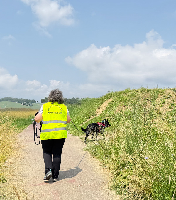 Cane in attività di mantrailing durante una ricerca in città