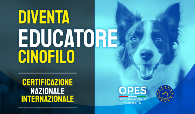 Corso Educatore Cinofilo OPES a Padova e Vigonovo, formazione cinofila con teoria online e pratica sul campo Bau Woww