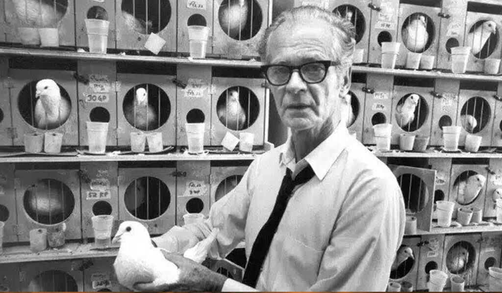 Immagine dell’articolo su Skinner e la punizione nell’educazione cinofila