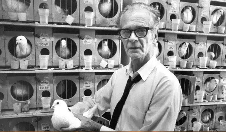 Immagine dell’articolo su Skinner e la punizione nell’educazione cinofila