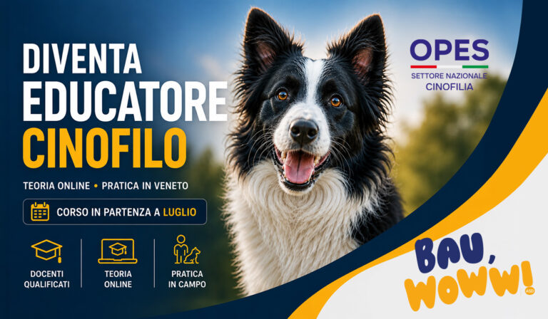 Locandina del Corso Educatore Cinofilo OPES con teoria online e pratica in Veneto presso Bau Woww, in partenza a luglio 2026.
